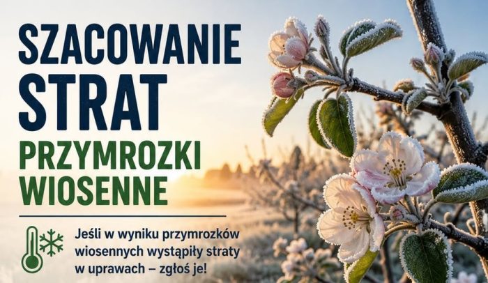 Miniaturka artykułu Szacowanie strat – wiosenne przymrozki