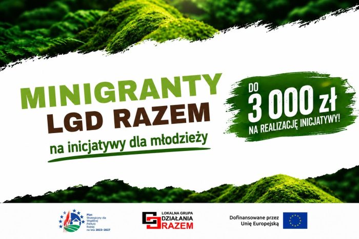 Miniaturka artykułu „MiniGranty LGD RAZEM na inicjatywy dla młodzieży”
